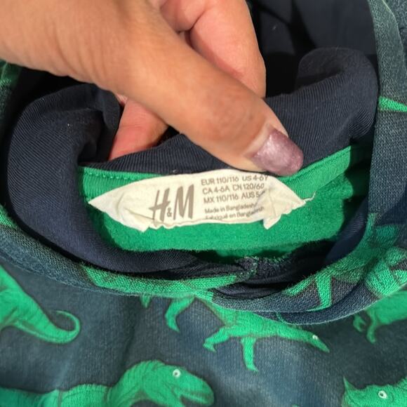 H&M Kids green blue Dinosaur hoodie summer winter Dino core size 4-6 - Picture 4 of 5